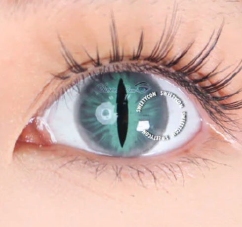 鬼・猫シリーズ (7色) 【度付き可能】