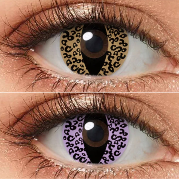 チーター (2種類)