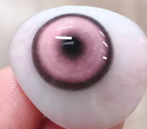 コイ (7色)【度付き可能】