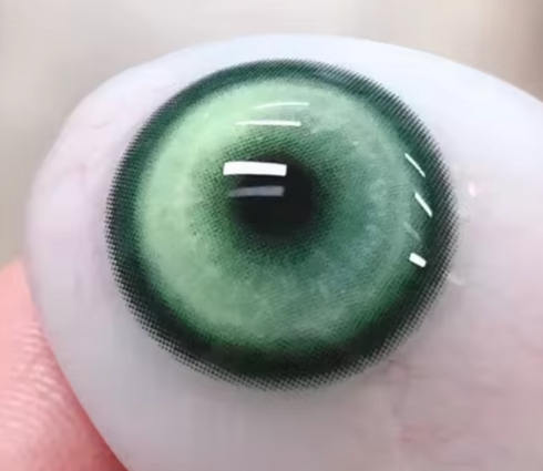 コイ (7色)【度付き可能】