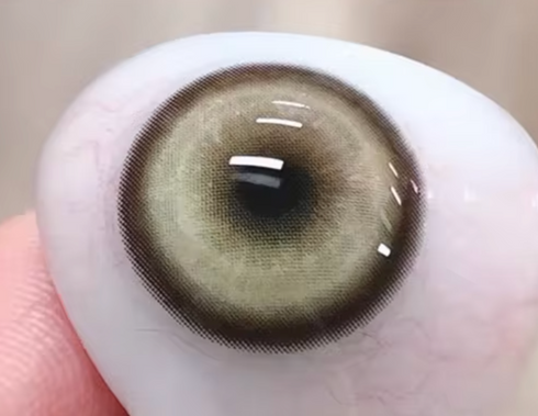 コイ (7色)【度付き可能】