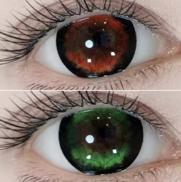 キュート・スパイダー (2色)