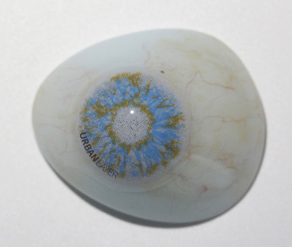 【ブラインド】キングダム・ブルー