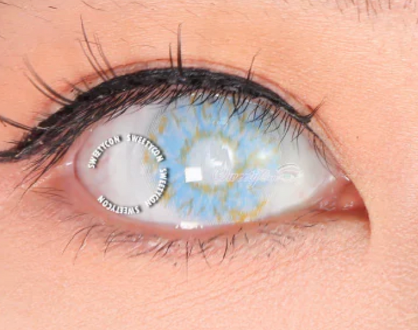 【ブラインド】キングダム・ブルー