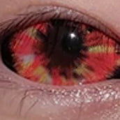 【全眼】日食- SFX-EYES 全眼カラコン 特殊カラコン コスプレ ハロウイン オーダーメイド アニメ 漫画 度付き 度入り 度あり