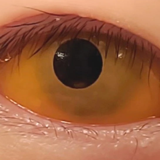 【全眼】オレンジ- SFX-EYES 全眼カラコン 特殊カラコン コスプレ ハロウイン オーダーメイド アニメ 漫画 度付き 度入り 度あり