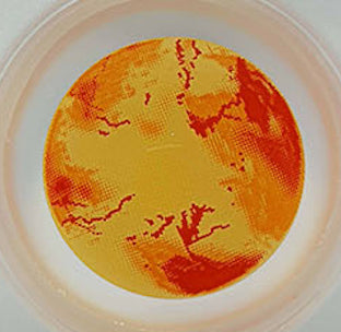 【全眼】ゾンビ 3【視界減少】- SFX-EYES 全眼カラコン 特殊カラコン コスプレ ハロウイン オーダーメイド アニメ 漫画 度付き 度入り 度あり